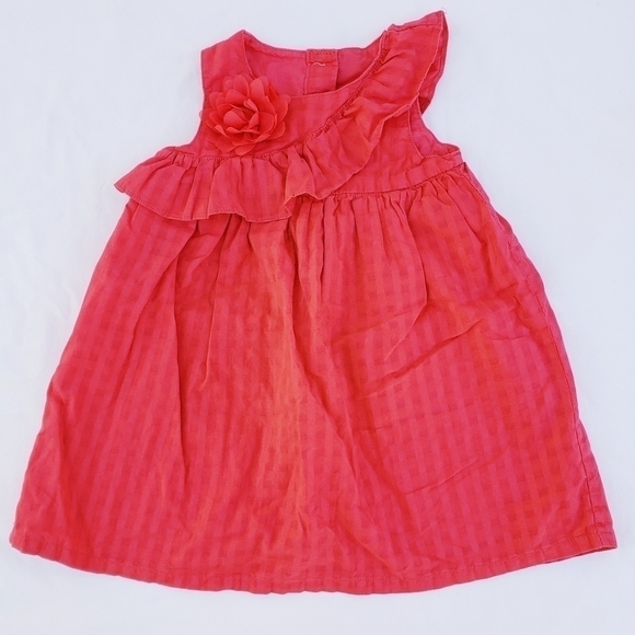 Gymboree Ruffle & Rose Dress - Picture 1 of 7
